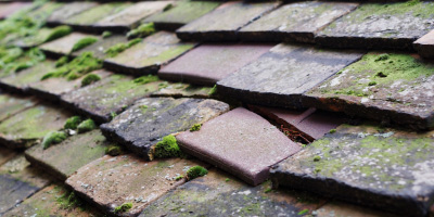 Chipping Warden roof repair costs